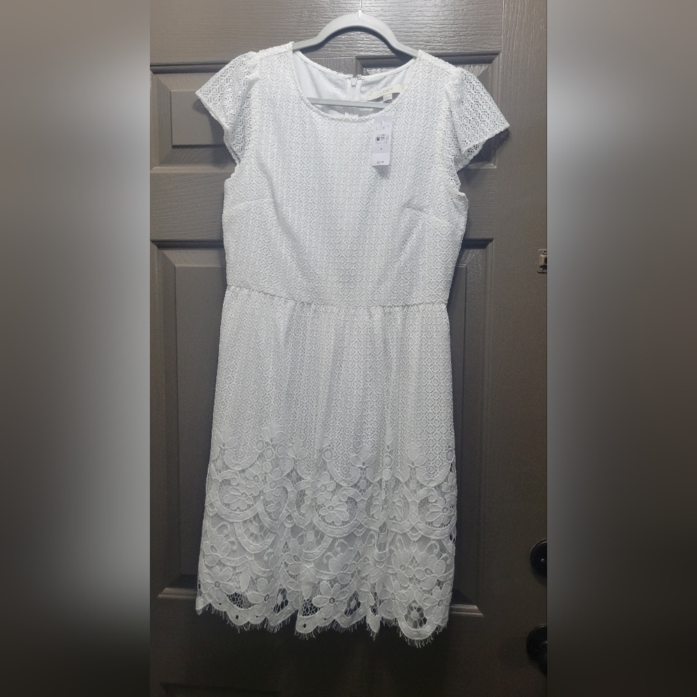 LOFT Lace Flare Dress NWT size 6 - Picture 2 of 6